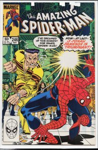 The Amazing Spider-Man #246 (1983) Spider-Man