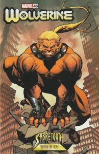 Wolverine # 45 Sabretooth Variant Cover NM Marvel 2024 [W5]