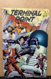 Terminal Point #2 (1993)