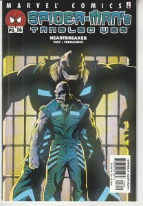 Spider-Man's Tangled Web #16 (2002)