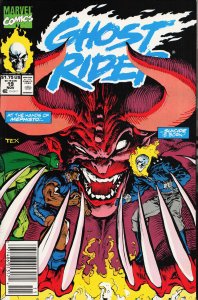 Ghost Rider #19 (1991) Ghost Rider