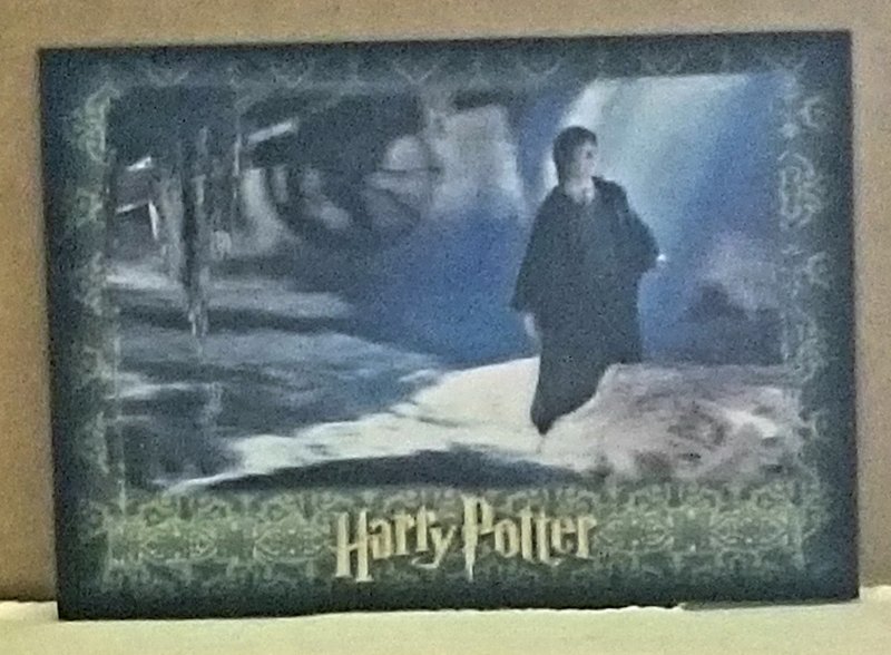 Artbox Harry Potter 3D Series 1 #21