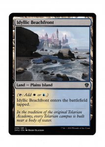 IDYLLIC BEACHFRONT | LAND | DOMINARIA UNITED #249/281 | MTG 2022