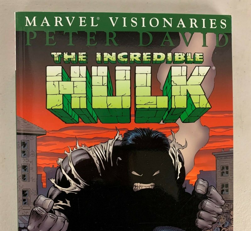 Marvel Visionaries Incredible Hulk Vol 1 2005 Paperback Peter David 