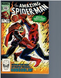 The Amazing Spider-Man #250 (1984)