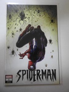 Spider-Man #1 Variant Edition