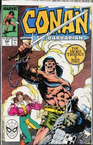 Conan the Barbarian #208 (1988) Conan