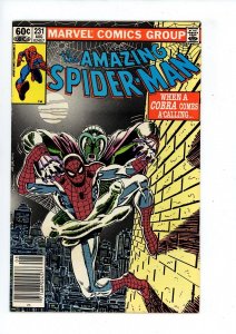 The Amazing Spider-Man #231 (1982) Spider-Man Marvel Comics