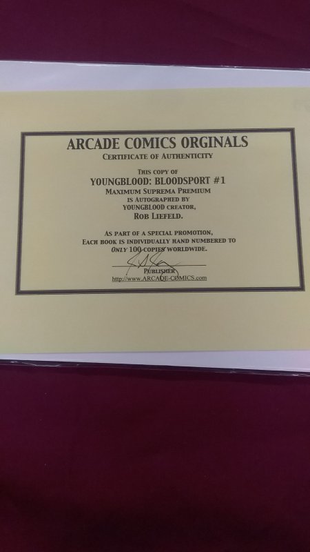 Youngblood: Bloodsport #1 Cover E (2003)