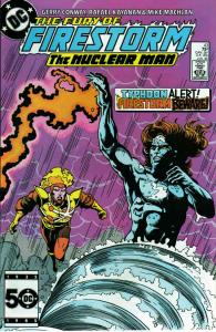 Fury of Firestorm, The #43 VF ; DC | Typhoon