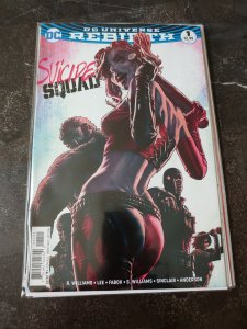 Suicide Squad #1 Harley Quinn Lee Bermejo VARIANT Cover (DC REBIRTH, 2016) - NM