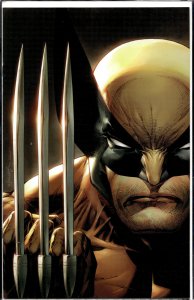 Wolverine #23 Williams Virgin Cover (2022) Wolverine