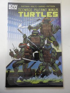Teenage Mutant Ninja Turtles #51 (2015)