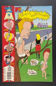Beavis & Butt-Head #14 (1995)