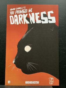 You Promised Me Darkness #5 Variant (2021)
