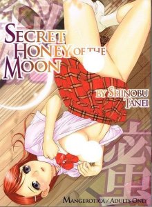 Secret Honey of the Moon (2013)