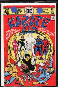 Karate Kid #1 (1976) Karate Kid