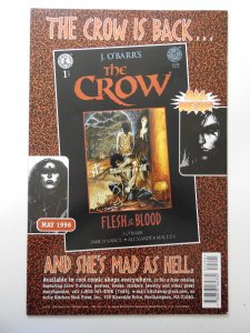 The Crow: Dead Time #3 (1996)
