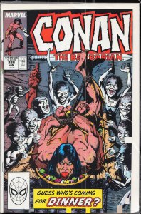 Conan the Barbarian #228 (1990) Conan