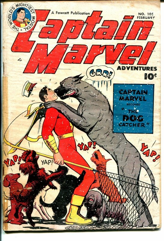 Captain Marvel adventures #105 1950-Fawcett-dog catcher cover-G