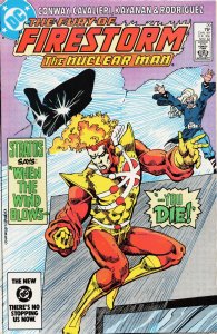 The Fury of Firestorm #29 (1984) Firestorm