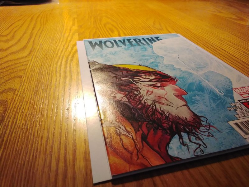 Wolverine #317 (2013)