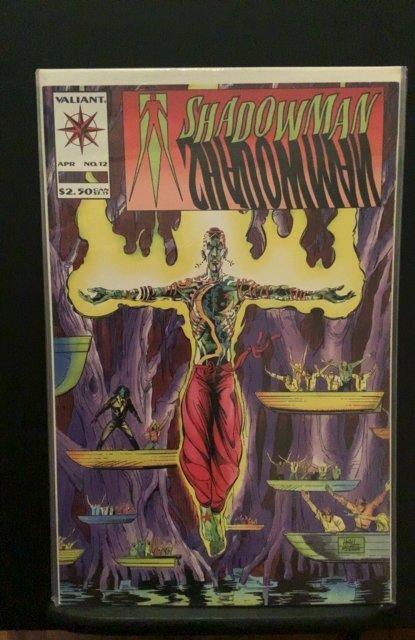 Shadowman #12 (1993)