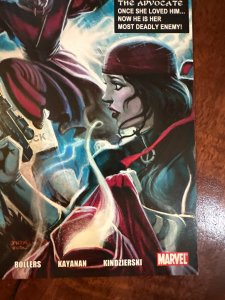 What If? Daredevil vs. Elektra (2010)