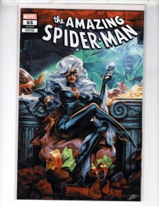 The Amazing Spider-Man #65 (2025) Variant Cover / XPC-NSC•NCA9