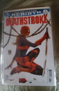 Deathstroke #3 Variant Cover (2016)
