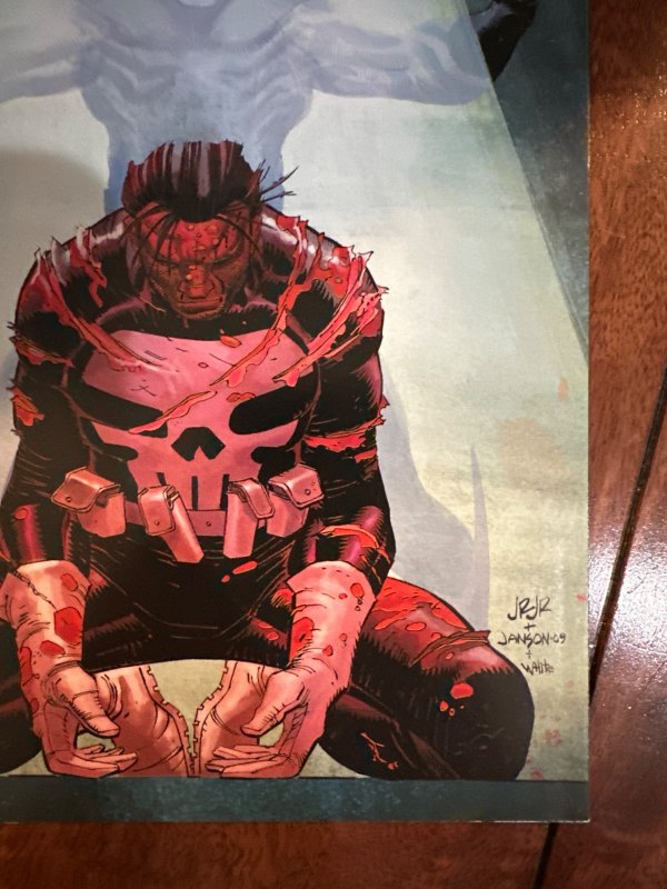 Dark Reign: The List - Punisher (2009)