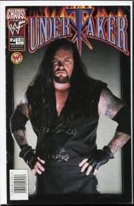 Undertaker #7 Variant Cover (1999)