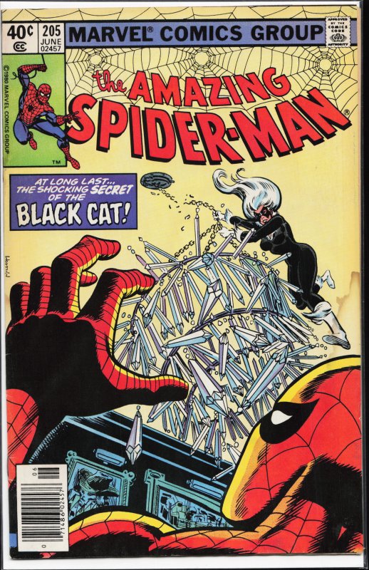 The Amazing Spider-Man #205 (1980) Spider-Man