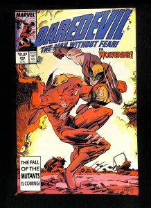 Daredevil #249