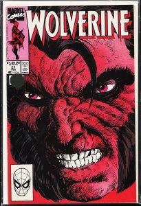 Wolverine #21 (1990) Wolverine