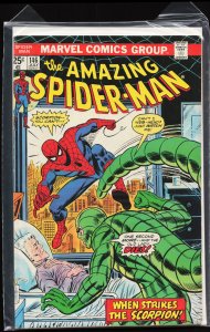 The Amazing Spider-Man #146 (1975) Spider-Man