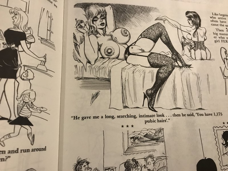 SEX TO SEXY #60 : SRI 1974 VF; Adult Cartoons & Jokes; Bill Ward, Pierre Davis