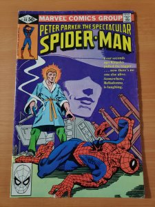 The Spectacular Spider-Man #48 (1980)