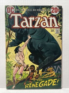 Tarzan #216 1973 DC