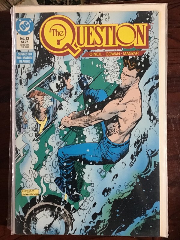 The Question #13 (1988)