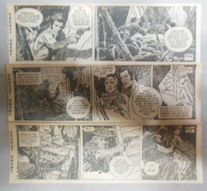 (312) Secret Agent Corrigan  Dailies by Al Williamson from 1972 Complete Year !