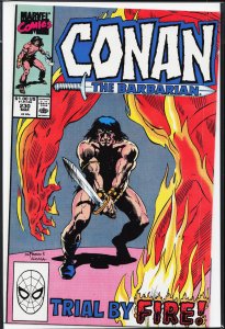 Conan the Barbarian #230 (1990) Conan