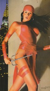 Elektra #29 (2004)