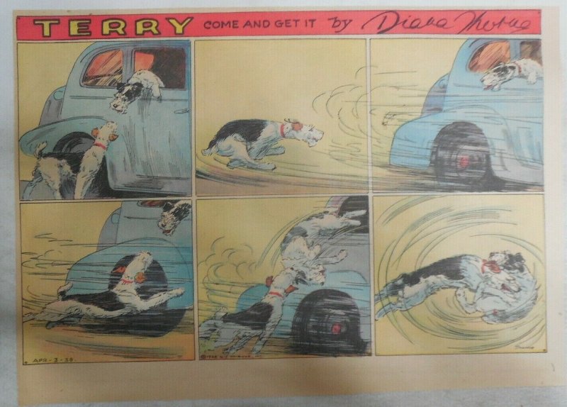 Terry (The Dog) Sunday Page Diana Thorne from 4/3/1938 Half Page Size!