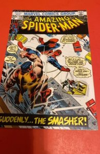 The Amazing Spider-Man #116 (1973) Romtia