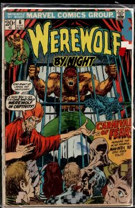 Werewolf by Night #6 (1973) Werewolf by Night