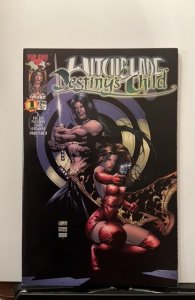 Lot of 2 Witchblade: Destiny's Child #1,40