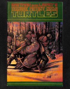 Teenage Mutant Ninja Turtles #31