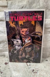 Teenage Mutant Ninja Turtles #103 Eastman Cover B (2020)