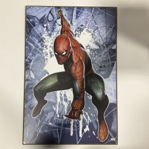 AMAZING SPIDER-MAN WOOD WALL ART 13X19 PLAQUE MARVEL